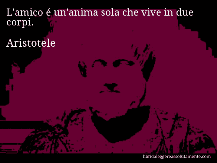 Aforisma di Aristotele : L'amico é un'anima sola che vive in due corpi.