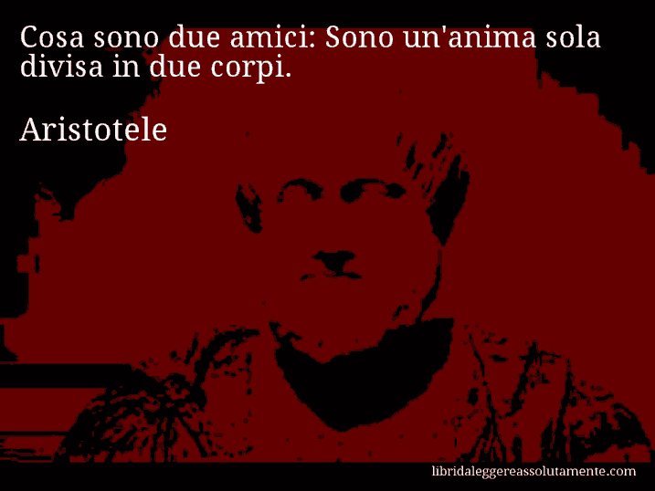 Aforisma di Aristotele : Cosa sono due amici: Sono un'anima sola divisa in due corpi.