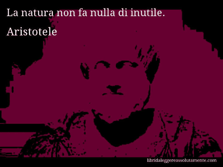 Aforisma di Aristotele : La natura non fa nulla di inutile.