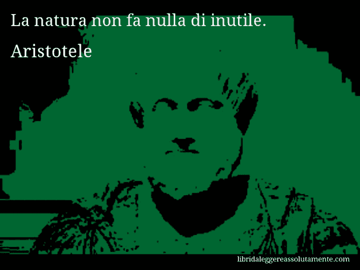 Aforisma di Aristotele : La natura non fa nulla di inutile.