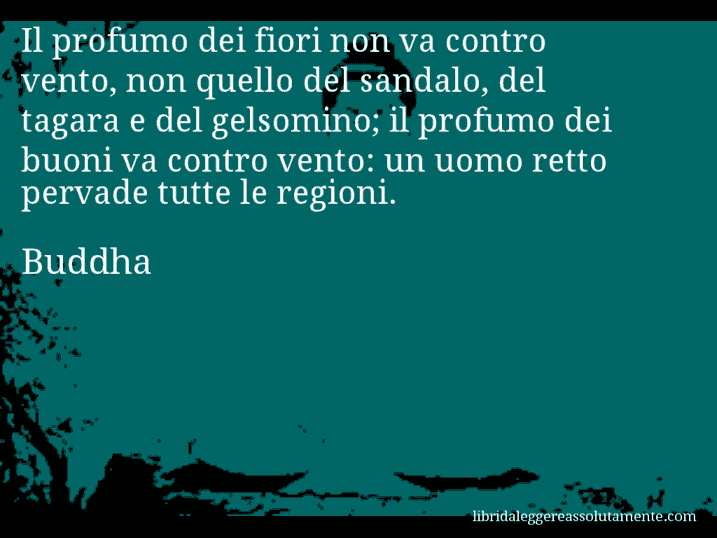 Aforisma di Buddha : Il profumo dei fiori non va contro vento, non quello del sandalo, del tagara e del gelsomino; il profumo dei buoni va contro vento: un uomo retto pervade tutte le regioni.