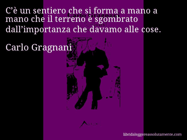 Aforisma di Carlo Gragnani : C’è un sentiero che si forma a mano a mano che il terreno è sgombrato dall’importanza che davamo alle cose.