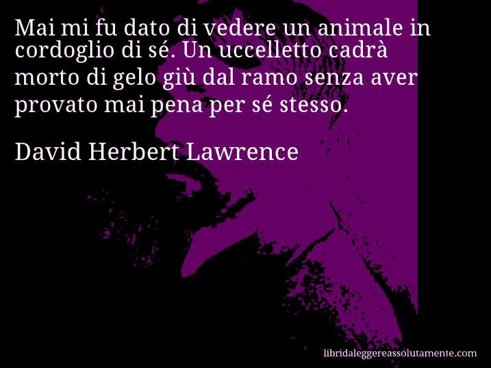 Aforisma di David Herbert Lawrence : Mai mi fu dato di vedere un animale in cordoglio di sé. Un uccelletto cadrà morto di gelo giù dal ramo senza aver provato mai pena per sé stesso.