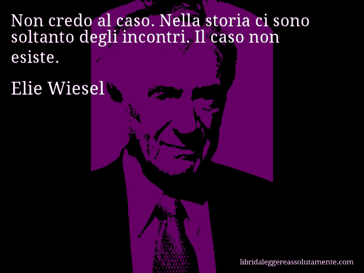 Aforisma di Elie Wiesel : Non credo al caso. Nella storia ci sono soltanto degli incontri. Il caso non esiste.