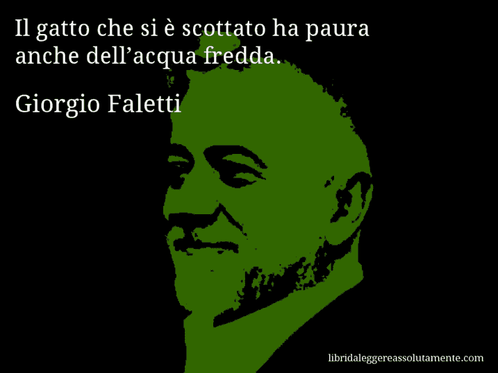 Aforisma di Giorgio Faletti : Il gatto che si è scottato ha paura anche dell’acqua fredda.