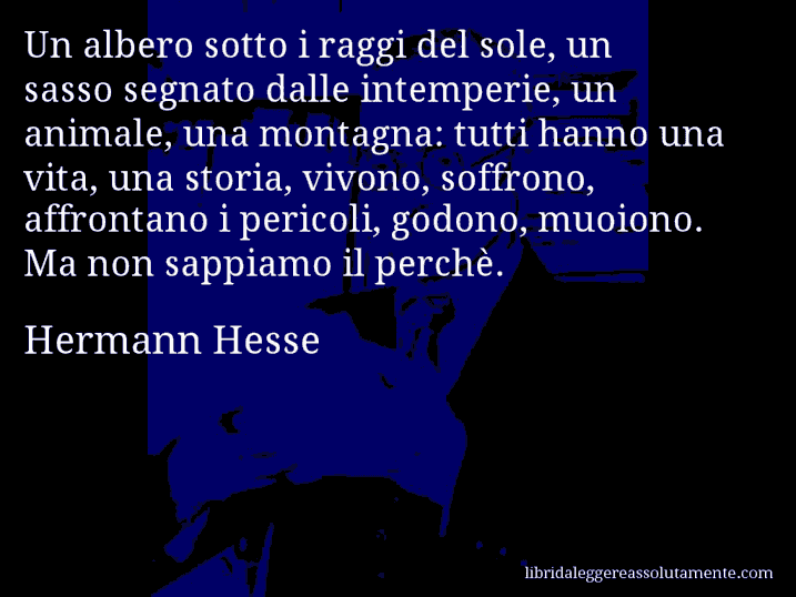 Aforisma di Hermann Hesse : Un albero sotto i raggi del sole, un sasso segnato dalle intemperie, un animale, una montagna: tutti hanno una vita, una storia, vivono, soffrono, affrontano i pericoli, godono, muoiono. Ma non sappiamo il perchè.
