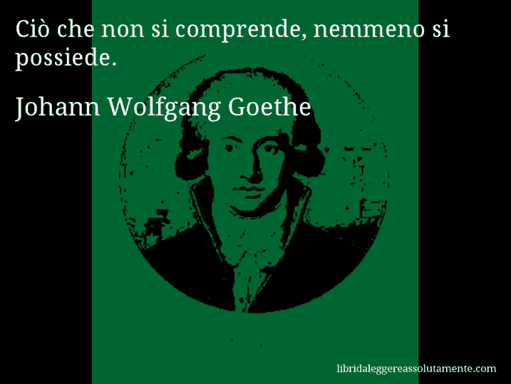 Aforisma di Johann Wolfgang Goethe : Ciò che non si comprende, nemmeno si possiede.