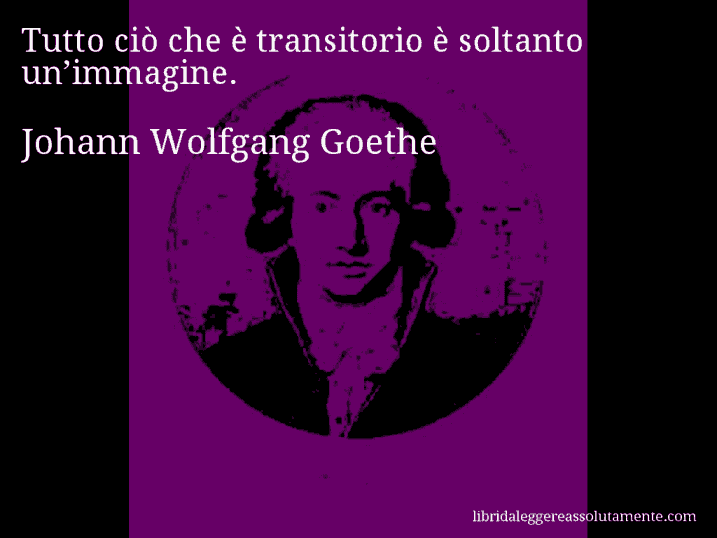 Aforisma di Johann Wolfgang Goethe : Tutto ciò che è transitorio è soltanto un’immagine.