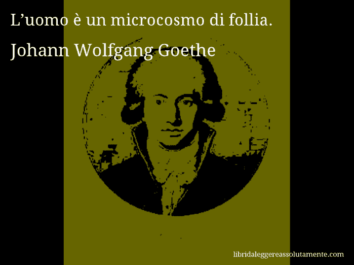 Aforisma di Johann Wolfgang Goethe : L’uomo è un microcosmo di follia.