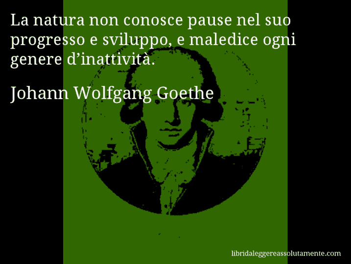 Aforisma di Johann Wolfgang Goethe : La natura non conosce pause nel suo progresso e sviluppo, e maledice ogni genere d’inattività.