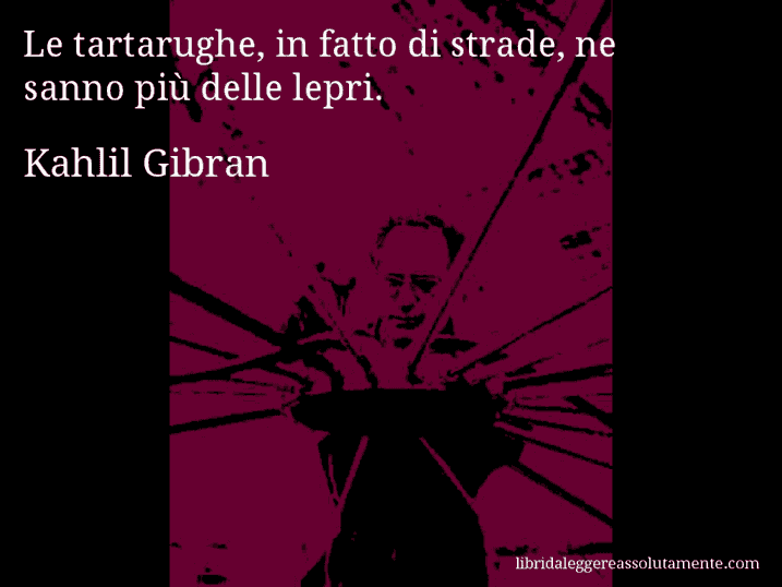 Aforisma di Kahlil Gibran : Le tartarughe, in fatto di strade, ne sanno più delle lepri.