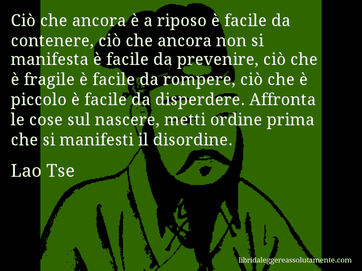 Aforisma di Lao Tse : Ciò che ancora è a riposo è facile da contenere, ciò che ancora non si manifesta è facile da prevenire, ciò che è fragile è facile da rompere, ciò che è piccolo è facile da disperdere. Affronta le cose sul nascere, metti ordine prima che si manifesti il disordine.