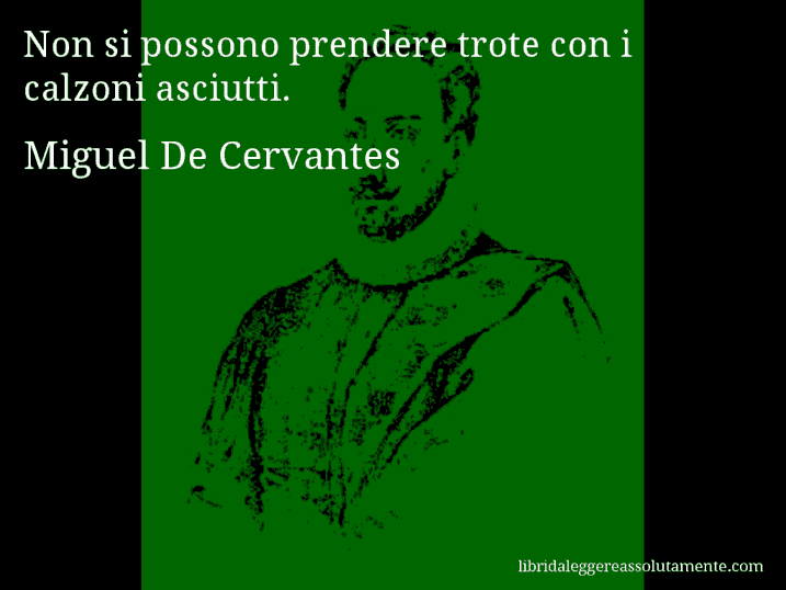 Aforisma di Miguel De Cervantes : Non si possono prendere trote con i calzoni asciutti.