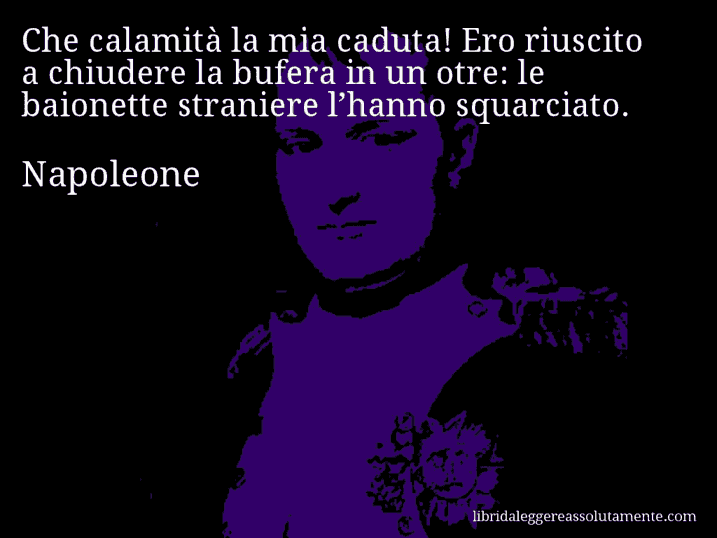 Aforisma di Napoleone : Che calamità la mia caduta! Ero riuscito a chiudere la bufera in un otre: le baionette straniere l’hanno squarciato.