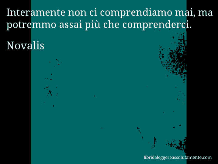 Aforisma di Novalis : Interamente non ci comprendiamo mai, ma potremmo assai più che comprenderci.