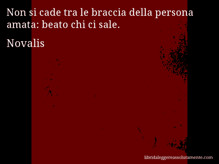 Aforisma di Novalis : Non si cade tra le braccia della persona amata: beato chi ci sale.