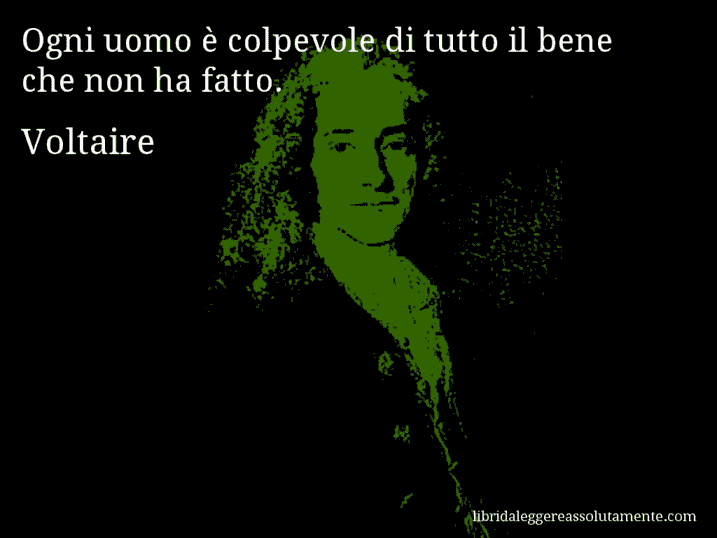 Aforisma di Voltaire : Ogni uomo è colpevole di tutto il bene che non ha fatto.
